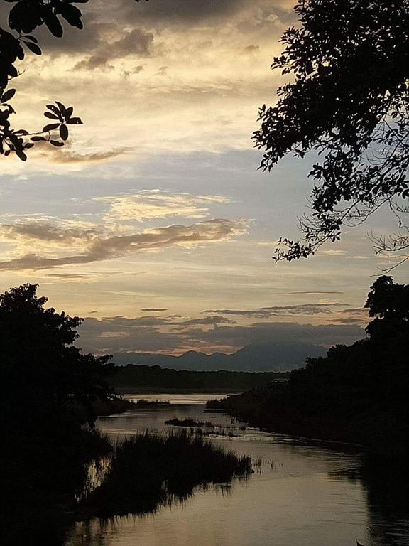 Unique Wild Resort Sauraha Zewnętrze zdjęcie