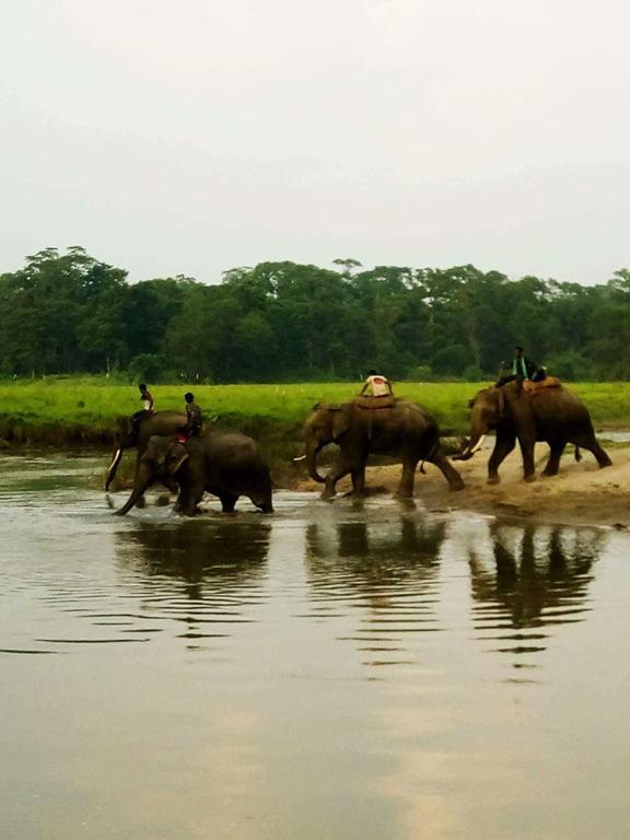 Unique Wild Resort Sauraha Zewnętrze zdjęcie