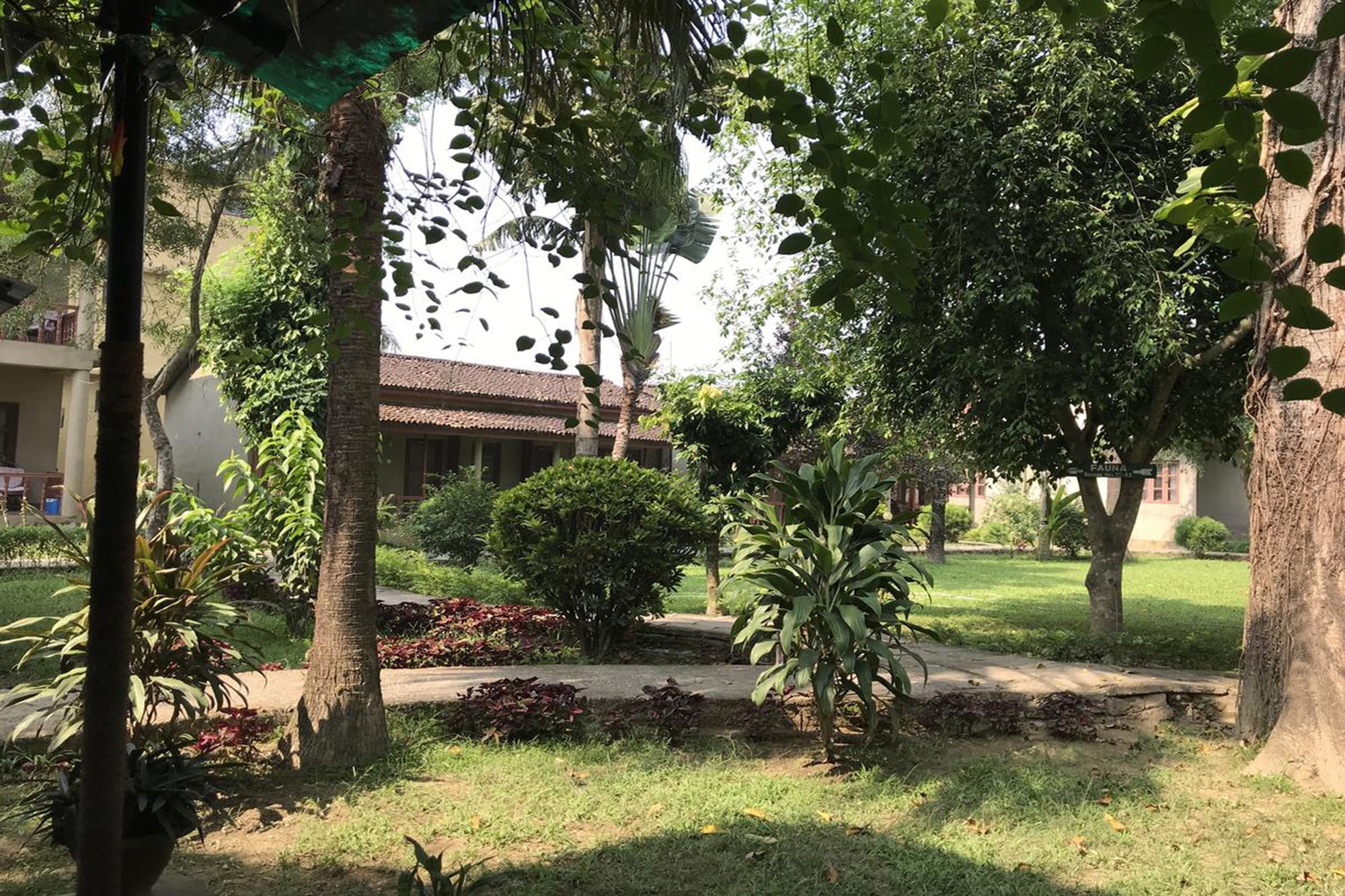Unique Wild Resort Sauraha Zewnętrze zdjęcie
