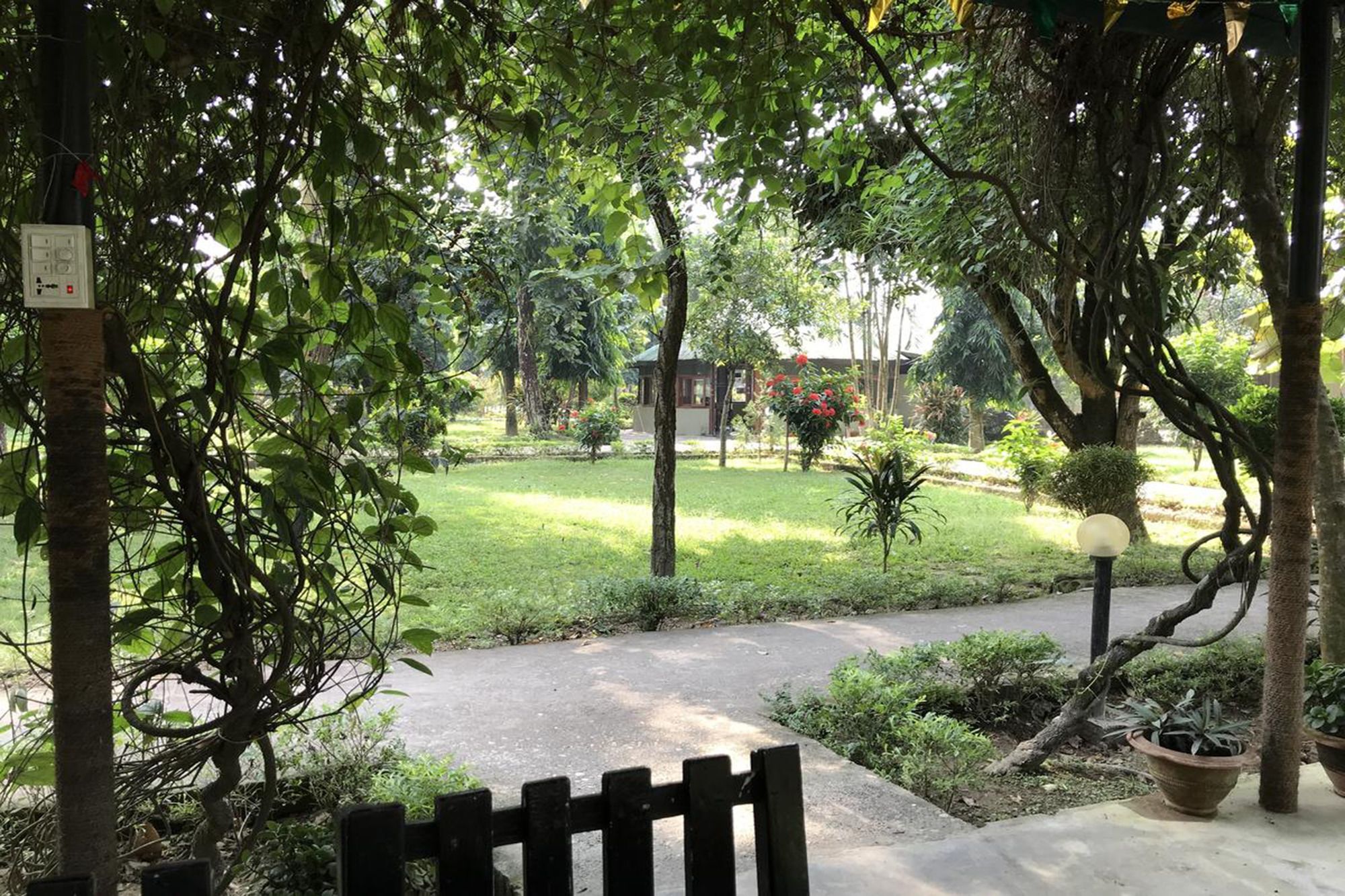 Unique Wild Resort Sauraha Zewnętrze zdjęcie