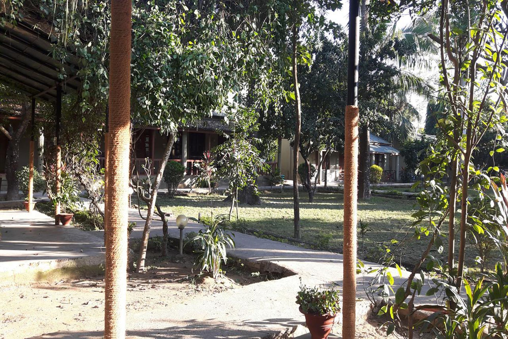 Unique Wild Resort Sauraha Zewnętrze zdjęcie