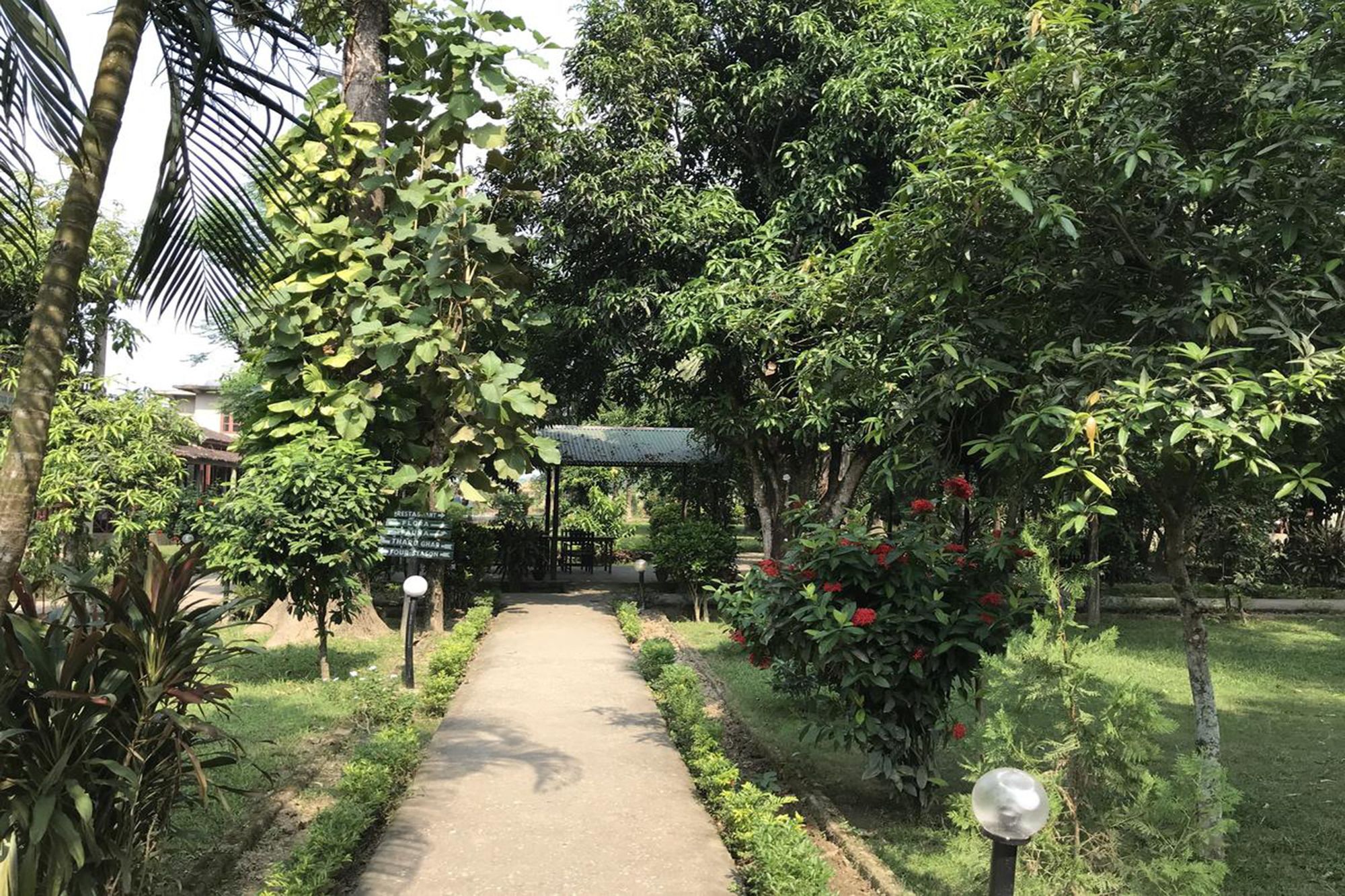 Unique Wild Resort Sauraha Zewnętrze zdjęcie