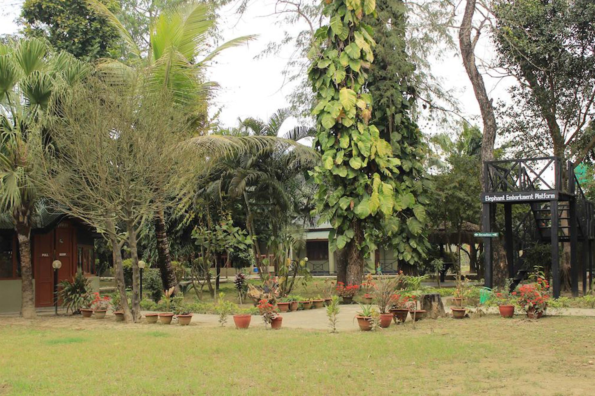 Unique Wild Resort Sauraha Zewnętrze zdjęcie