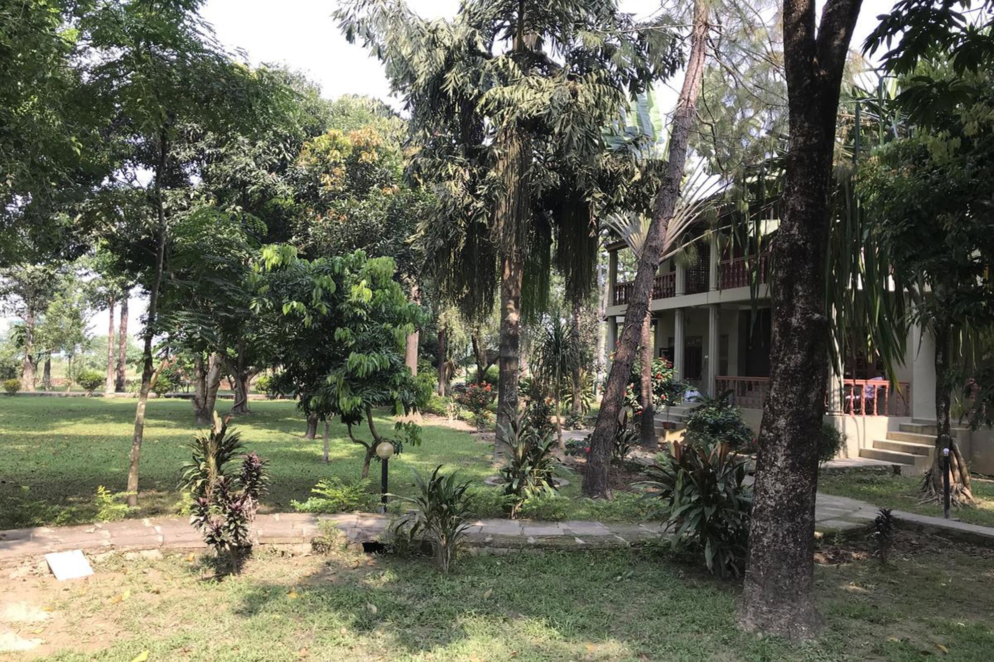 Unique Wild Resort Sauraha Zewnętrze zdjęcie