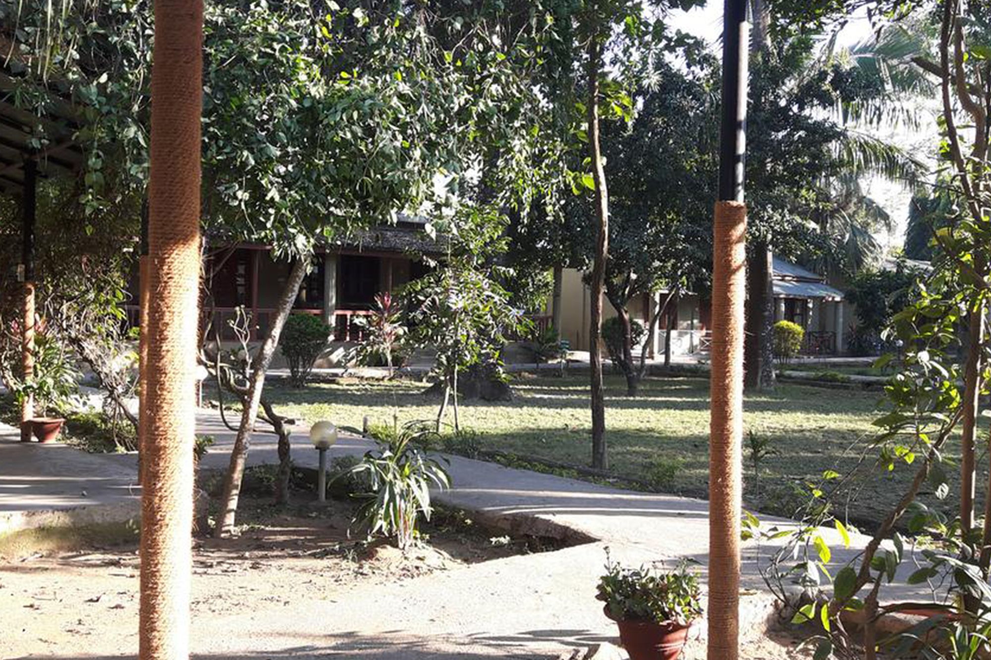 Unique Wild Resort Sauraha Zewnętrze zdjęcie