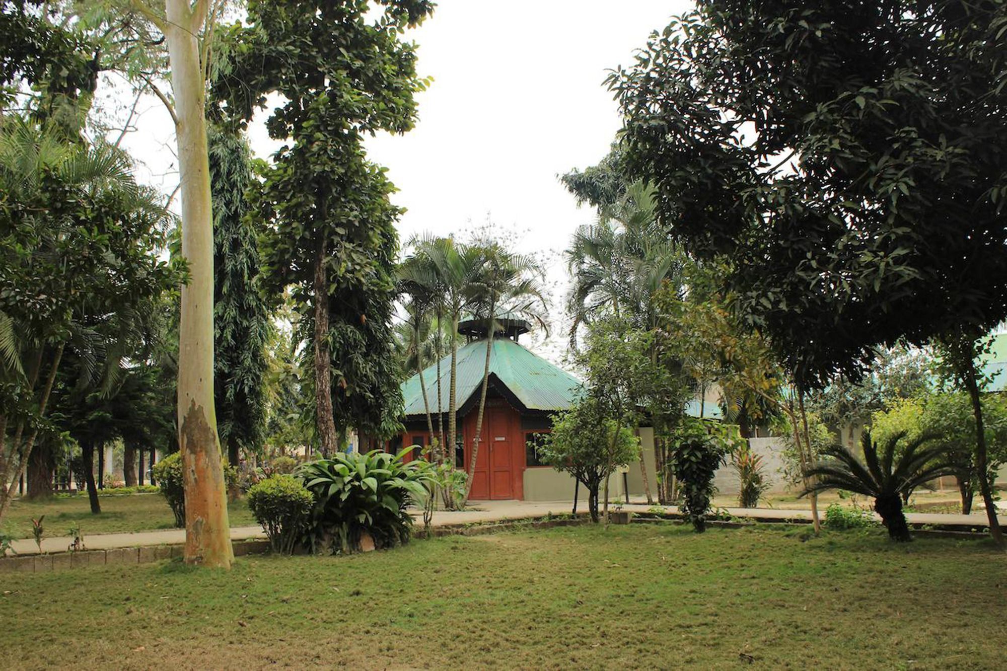 Unique Wild Resort Sauraha Zewnętrze zdjęcie